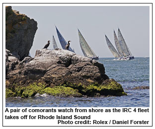 A pair of comorants watch from shore as the IRC 4 fleet takes off for Rhode Island Sound, Photo credit: Rolex / Daniel Forster
