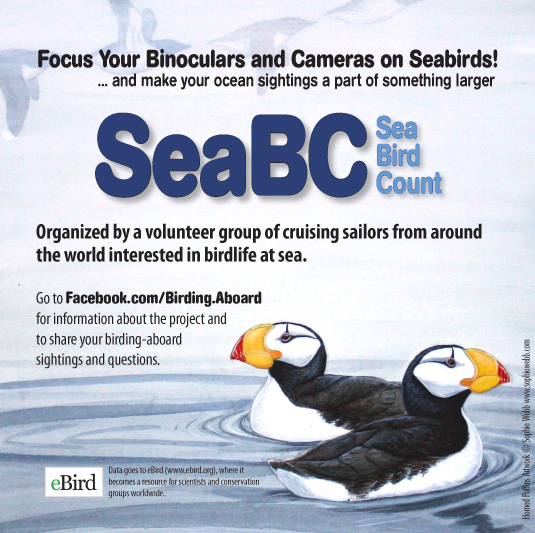 SeaBC Sea Bird Count Poster Features Art