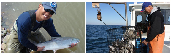 Two new NOAA reports show strong economic gains from fishing, continued improvement in fish stocks