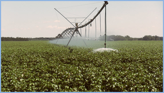 Center pivot irrigation in Florida