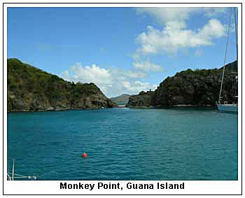 Monkey Point, Guana Island