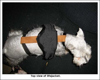 Top view of lifejacket