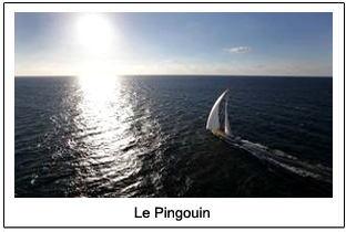 Le Pingouin