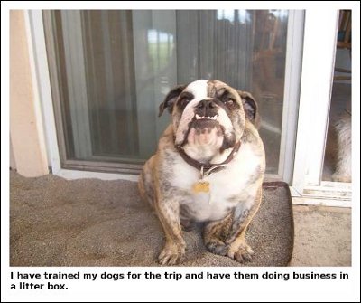 I have trained my dogs for the trip and have them doing business in a litter box.