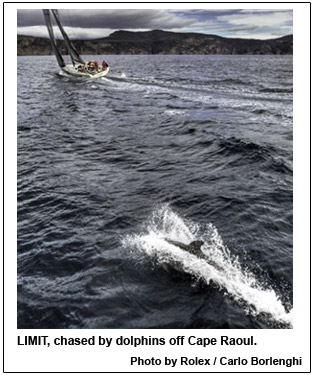 LIMIT, chased by dolphins off Cape Raoul.