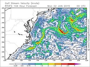 Gulf Stream Velocity - Knots