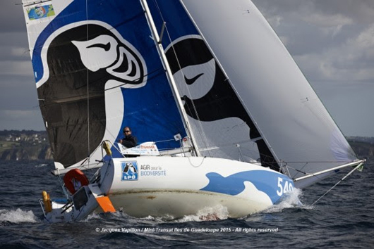 Mini Transat 2015