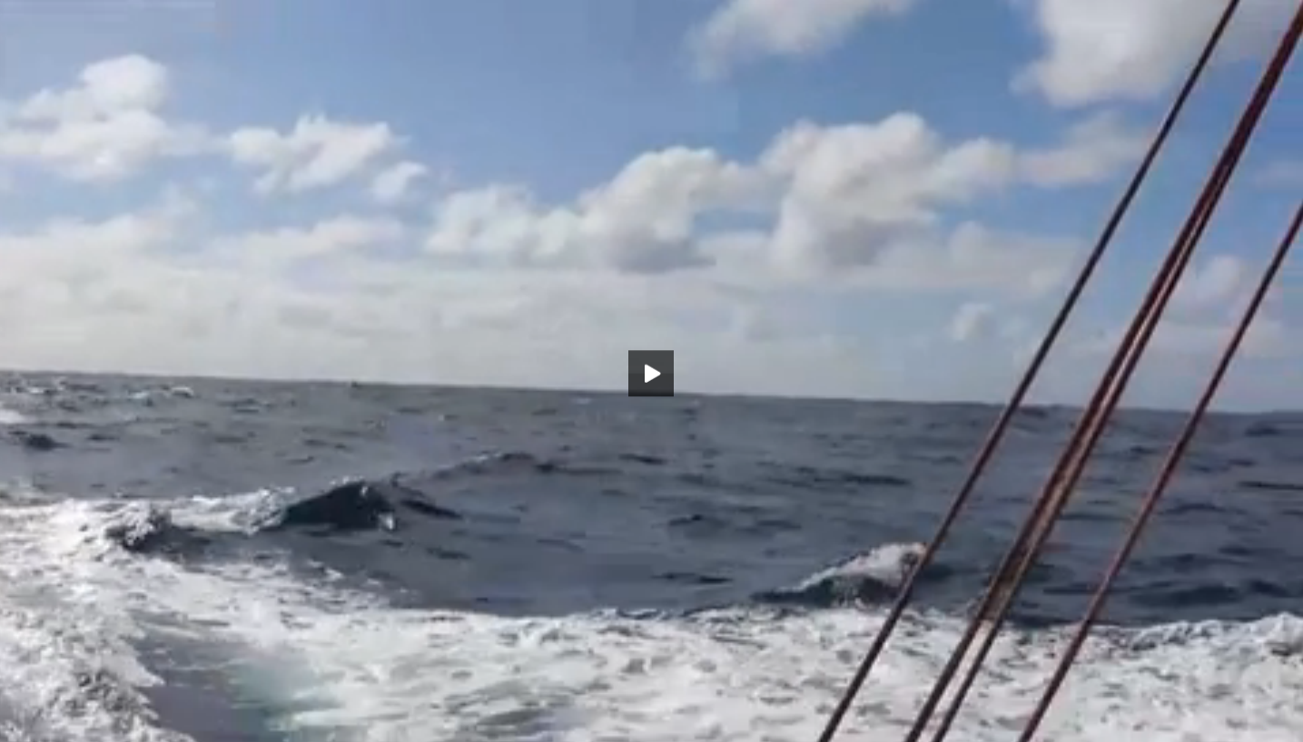 Vendee Globe - Fabrice Amedeo - Newrest-Matmut, Videos