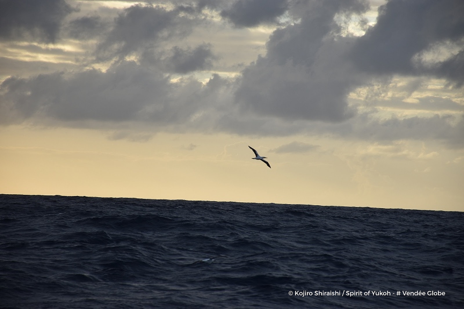 Vendee Globe